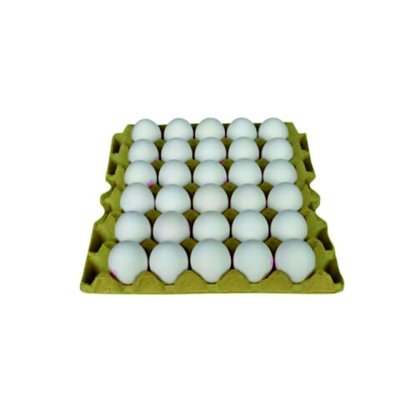 TÜREM YUMURTA BEYAZ XL BOY 30 LU KAPAKLI